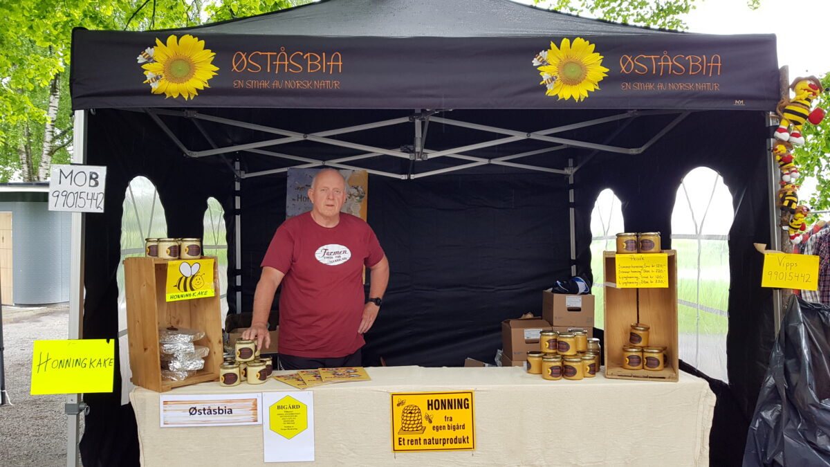 Czarno-żółty namiot reklamowy od Hallgruppen z brandingiem Øståsbia, ustawiony na wydarzeniu plenerowym z drzewami w tle.